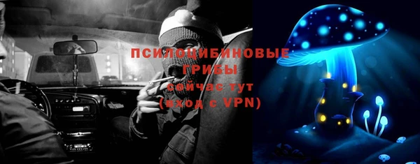 ALPHA PVP Алексеевка