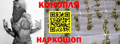сатива Абинск