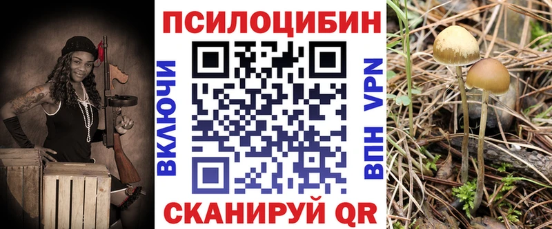 Галлюциногенные грибы Psilocybine cubensis  что такое наркотик  Анжеро-Судженск 