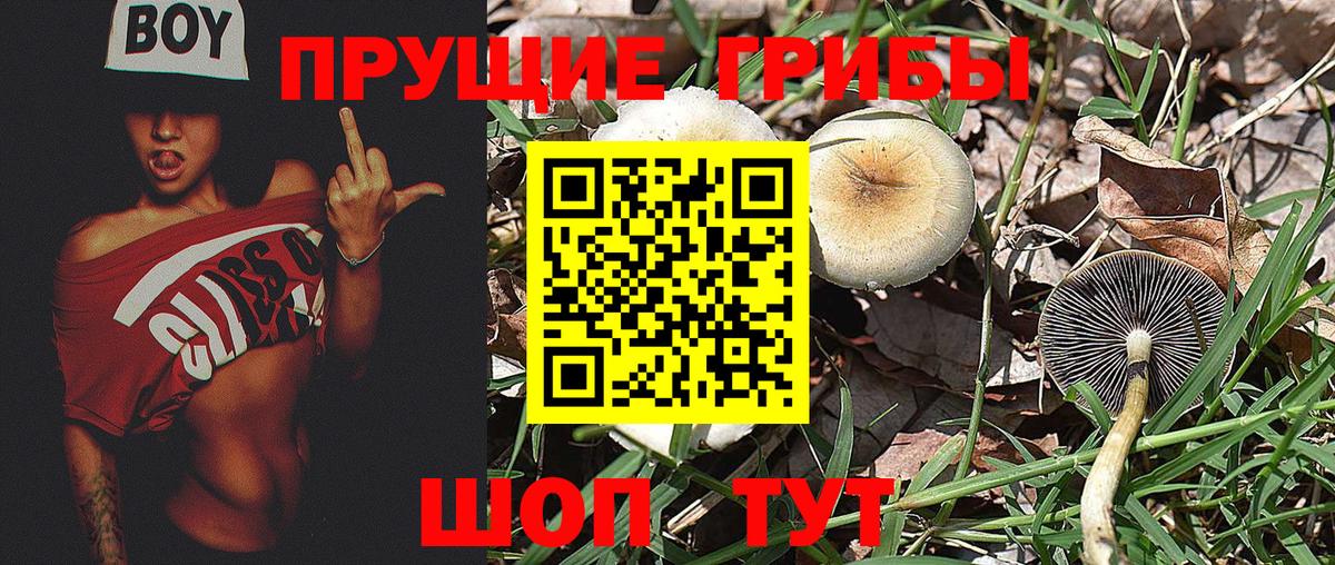 Псилоцибиновые грибы Magic Shrooms Анжеро-Судженск