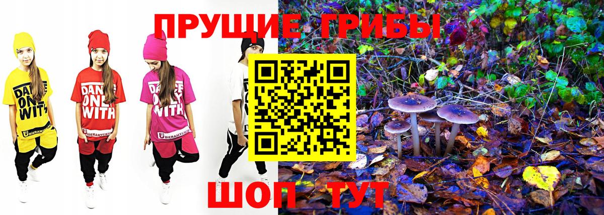Галлюциногенные грибы Magic Shrooms  где купить   Анжеро-Судженск  Вход с VPN 